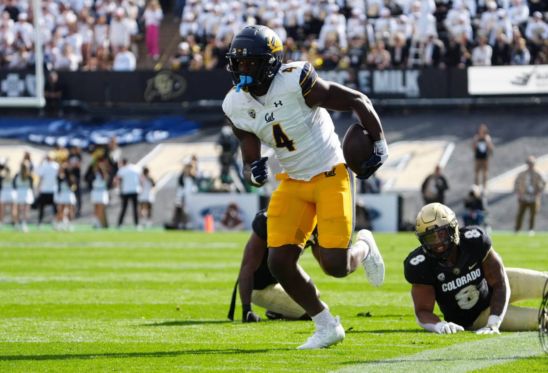 Cal TE Jermaine Terry II Transfers