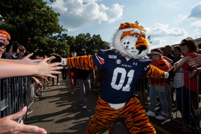Auburn mascot, Aubie the Tiger, interacts with fans.