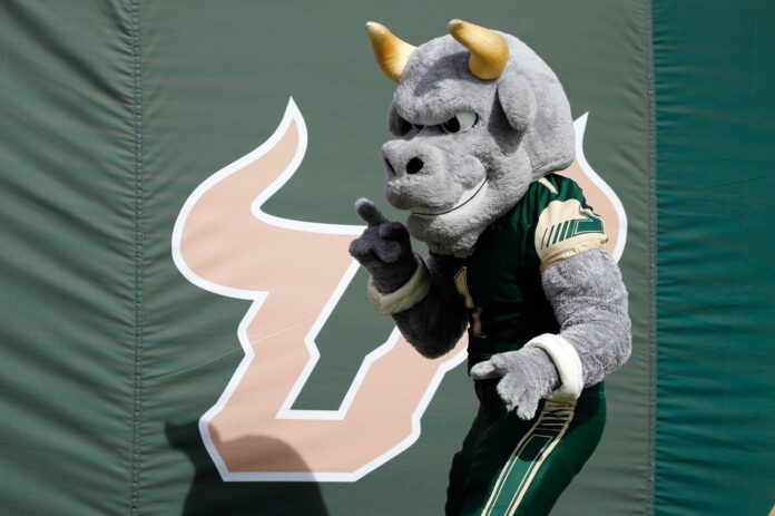 South Florida Bulls mascot, Rocky, on the sidelines during a game.