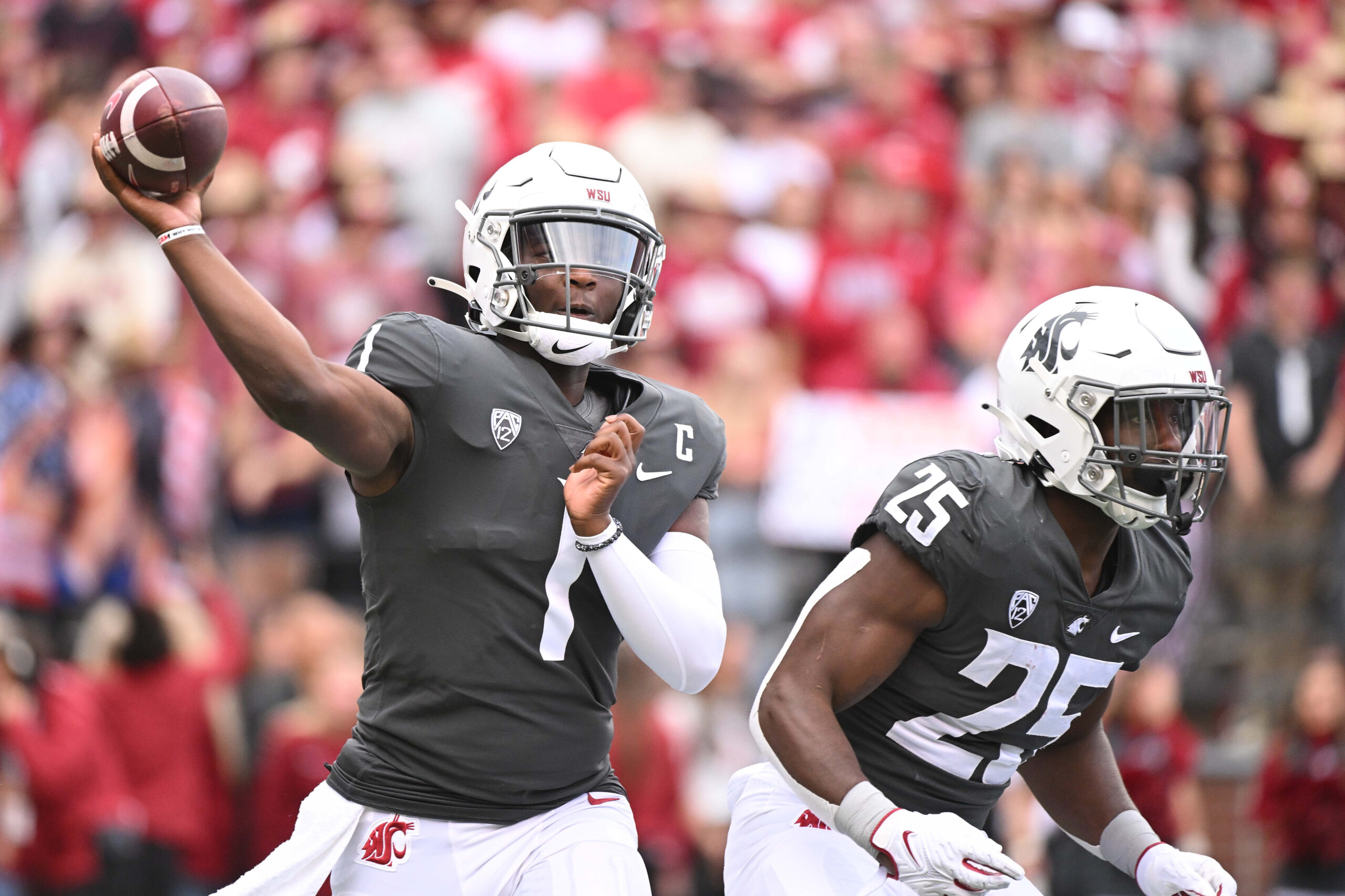 The best punter in NC State history is heading to the NFL draft - Pack  Insider