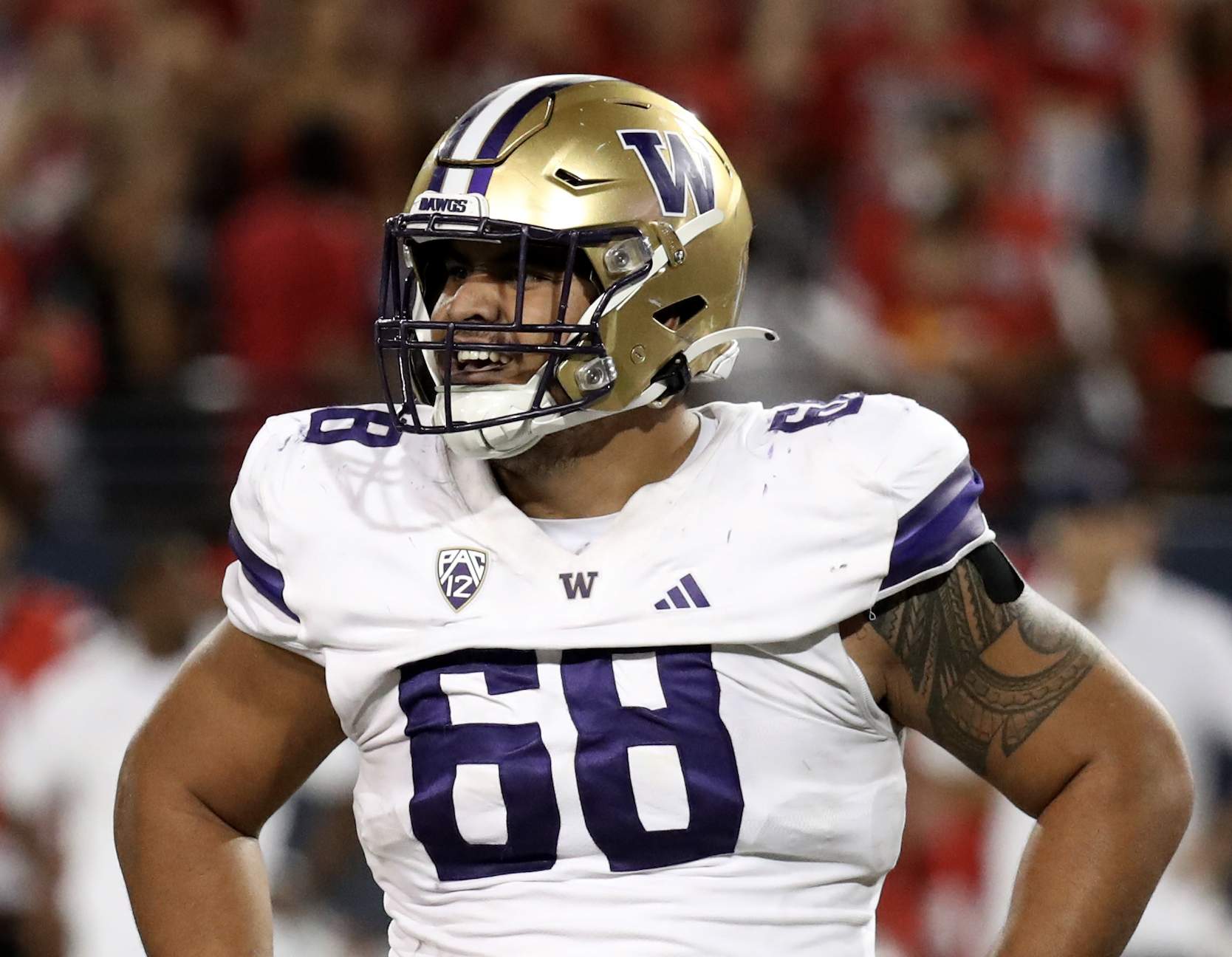 Ulumoo Ale is a bonafide star for the Washington Huskies defense