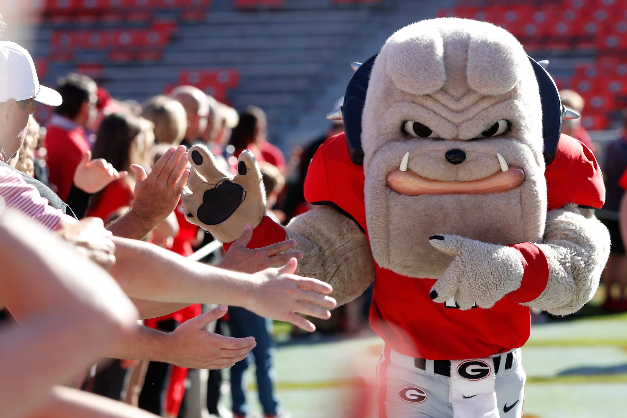 The Georgia 2024 football schedule sees the Bulldogs welcome in one of the two new SEC teams, who is it, and where do they play next fall?
