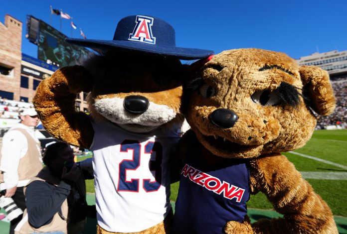 Nov 11, 2023; Boulder, Colorado, USA; Arizona Wildcats mascots perform during the first half against the Colorado Buffaloes at Folsom Field. Mandatory Credit: Ron Chenoy-USA TODAY Sports