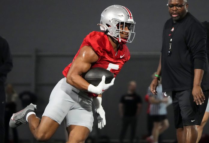 Ohio State running back Dallan Hayden entered the transfer portal, and won't have a shortage of landing spots for his future home.