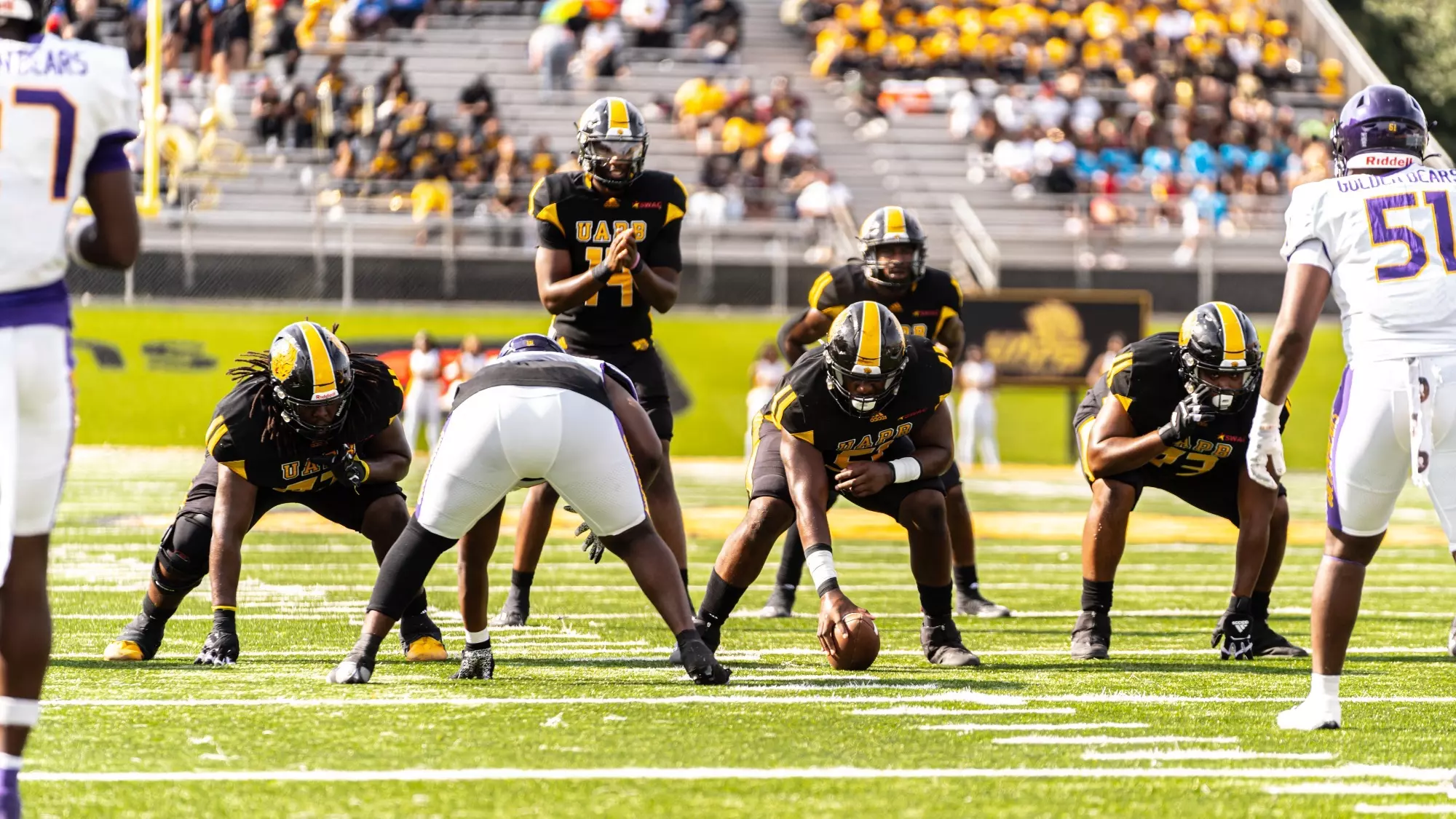 ArkansasPine Bluff Golden Lions Depth Chart 2024 College Football