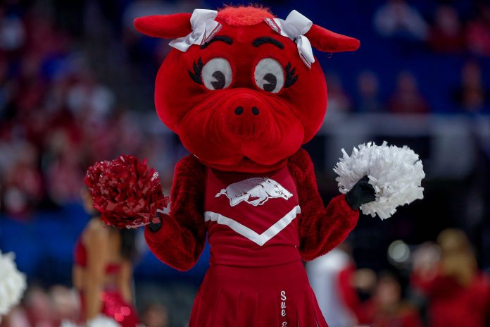 Arkansas has one of the most unique nickname/mascot in college football, but they didn't start as the Razorbacks. How did Arkansas land on the Razorbacks mascot?