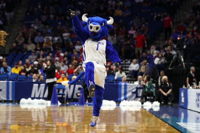 Mar 22, 2019; Tulsa, OK, USA; Buffalo Bulls mascot during the first half of the game against the Arizona State Sun Devils in the first round of the 2019 NCAA Tournament at BOK Center. The Buffalo Bulls won 91-74. Mandatory Credit: Brett Rojo-USA TODAY Sports