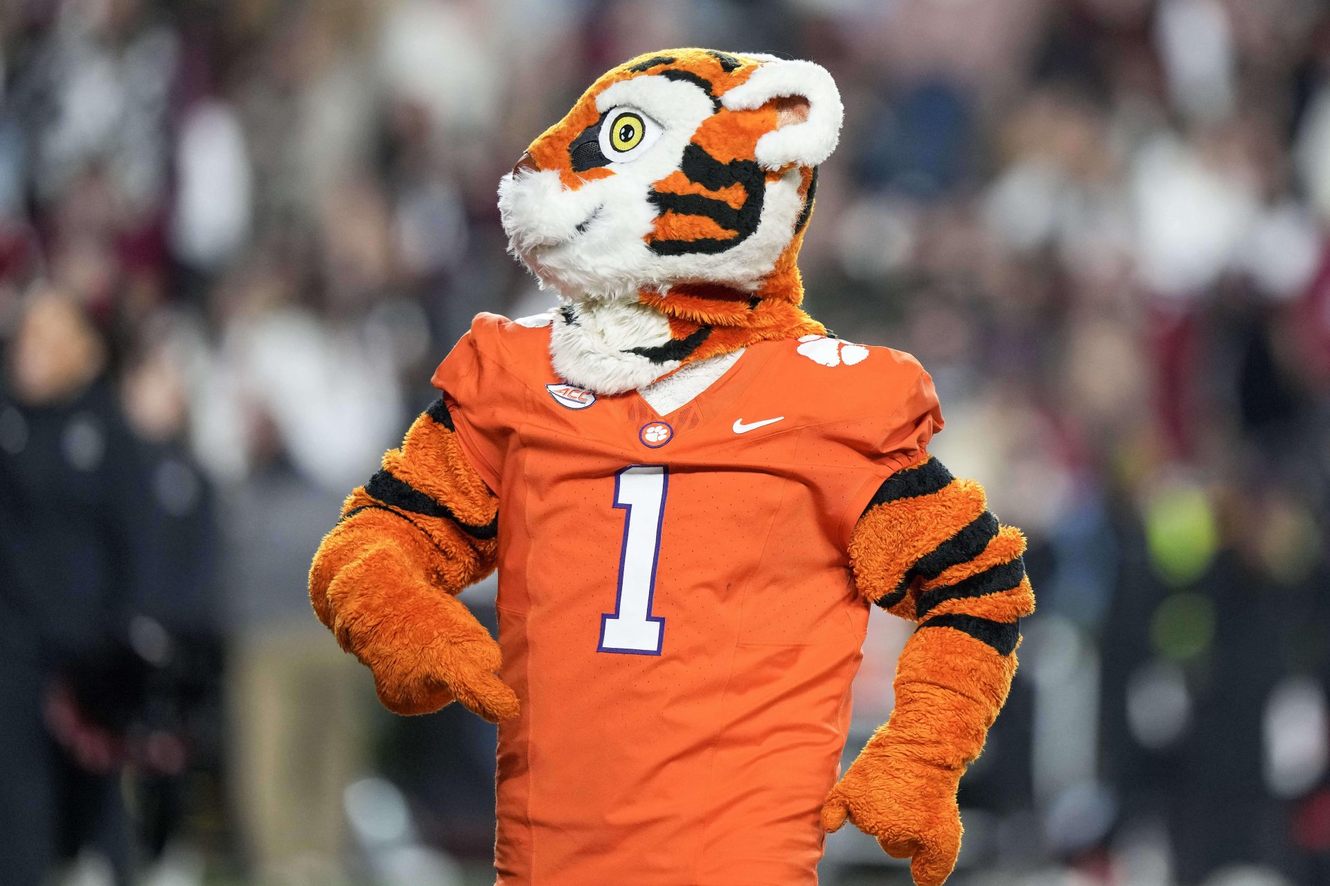 The Clemson Tigers' mascot has a unique history rooted in school lore and evolving to include one of the most widespread traditions in college football.