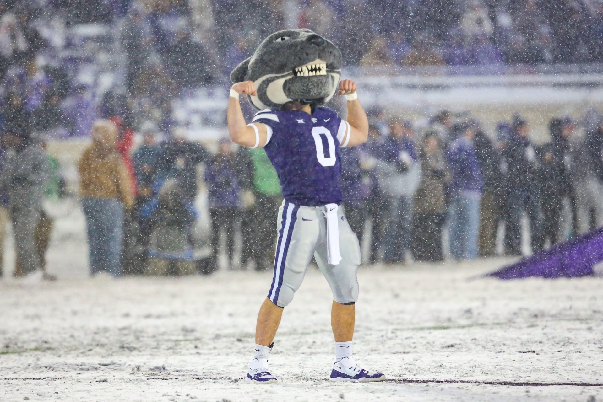 Willie the Wildcat has been the Kansas State Wildcats' mascot for several decades.