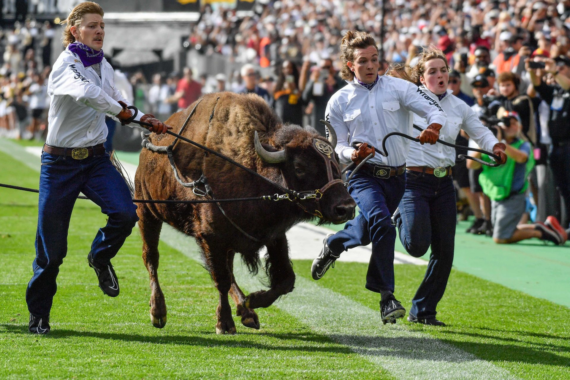 Explaining the difference between college football games and NFL games includes a ton of discussion. But talking quarters in a college football game isn't one of them.