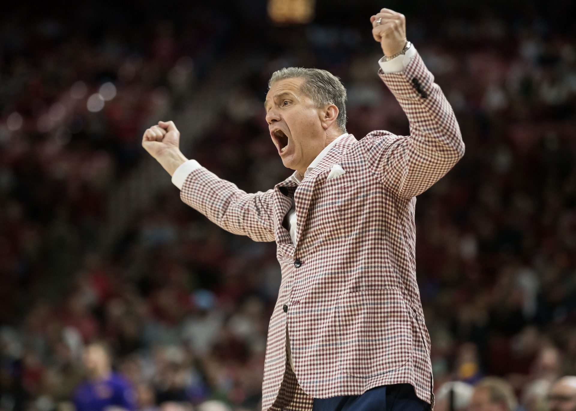 Arkansas Razorbacks head coach John Calipari yells during the second half against the LSU Tigers at Bud Walton Arena. Arkansas won 70-58.