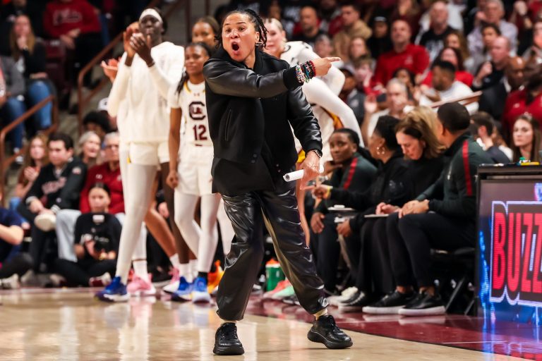 South Carolina Gamecocks head coach Dawn Staley directs her team against the UConn Huskies in the first half at Colonial Life Arena.
