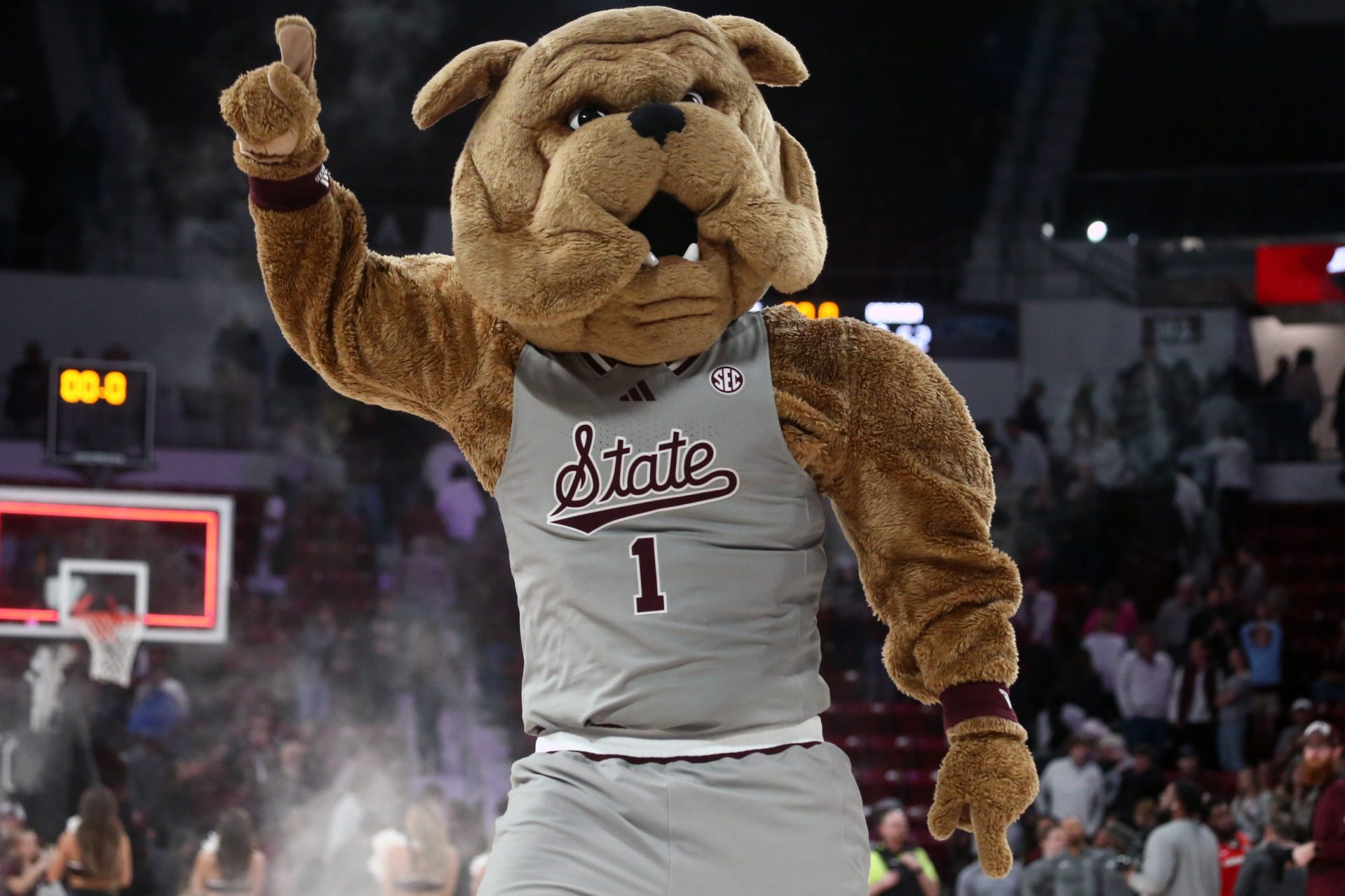 Mississippi State Bulldogs mascot Bully dances on the court after defeating the Georgia Bulldogs at Humphrey Coliseum.