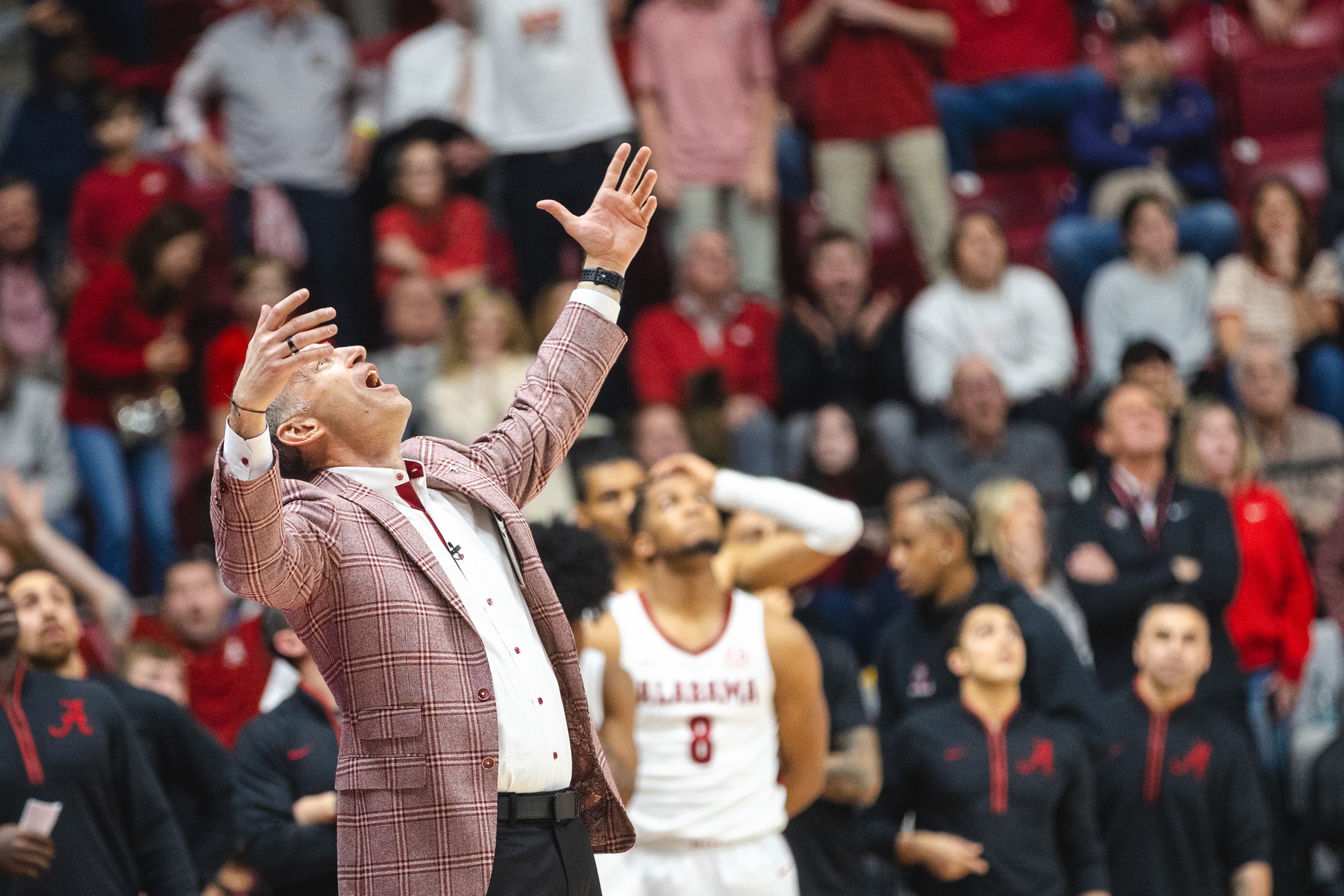 Alabama Crimson Tide head coach Nate Oats reacts to a foul being called on Alabama Crimson Tide guard Mark Sears (1) during the second half against the Florida Gators at Coleman Coliseum.