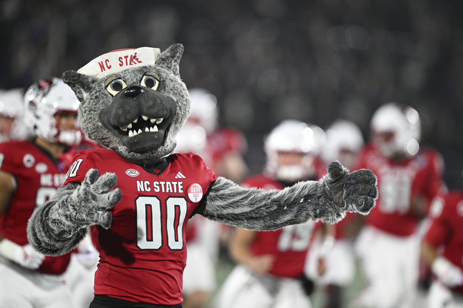 North Carolina State Wolfpack mascot Mr. Wolf runs ion the field with the team before the start of the Go Bowling Military Bowl against the East Carolina Pirates  at Navy-Marine Corps Memorial Stadium.