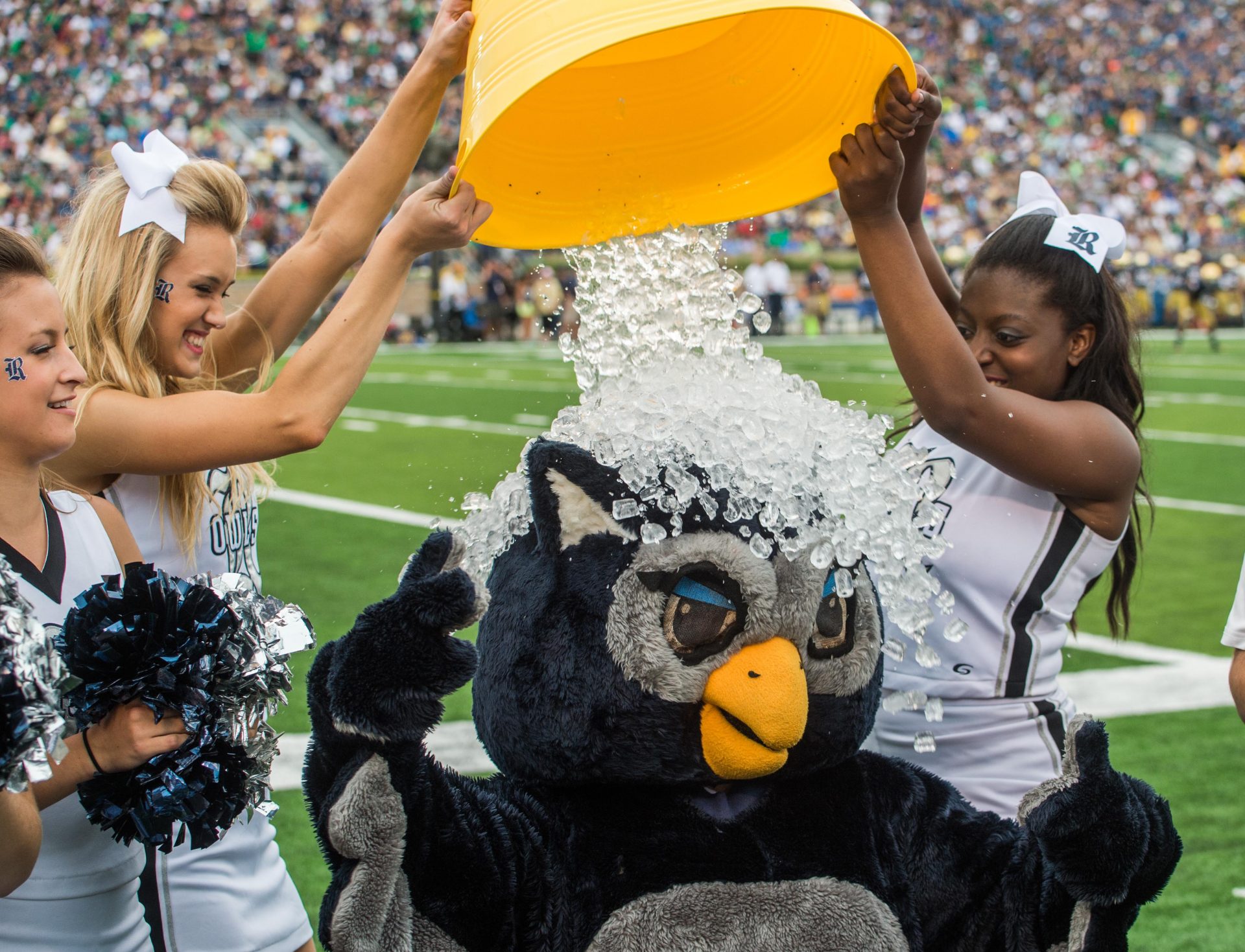The Rice Owls mascot Sammy the Owl does the ALS ice bucket challenge in the 3rd quarter of the game against the Notre Dame Fighting Irish at Notre Dame Stadium. Notre Dame won 48-17.