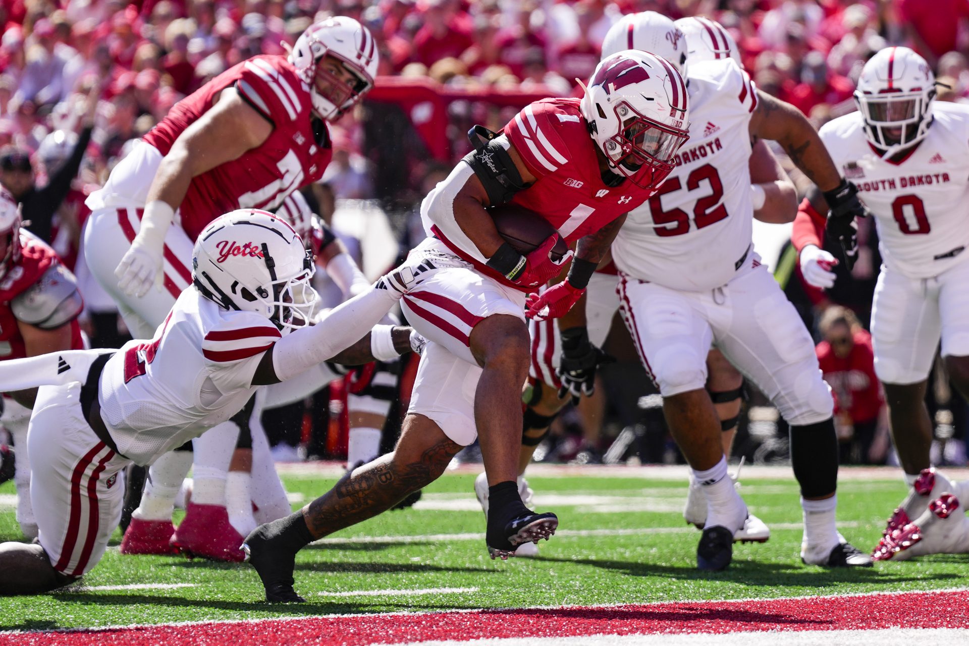 Wisconsin Badgers running back Chez Mellusi (1) rushes for a touchdown during the first quarter against the South Dakota Coyotes