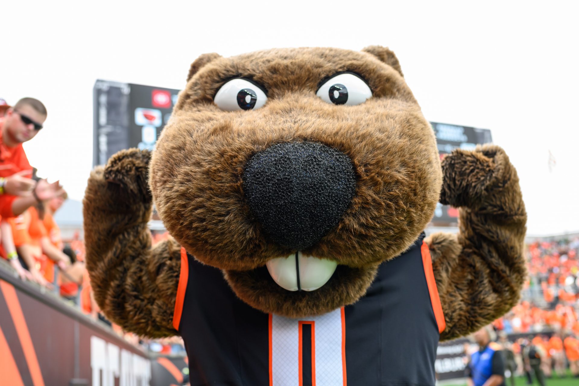 Oregon State Beavers mascot Benny flexes during the second half against the Oregon Ducks at Reser Stadium.