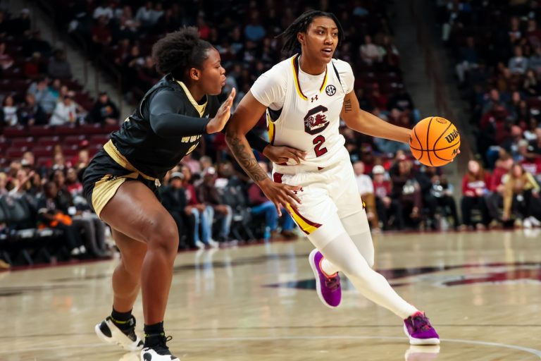 South Carolina Gamecocks forward Ashlyn Watkins (2) drives around Wofford Terriers forward Queen Ikhiuwu (81) in the first half at Colonial Life Arena.