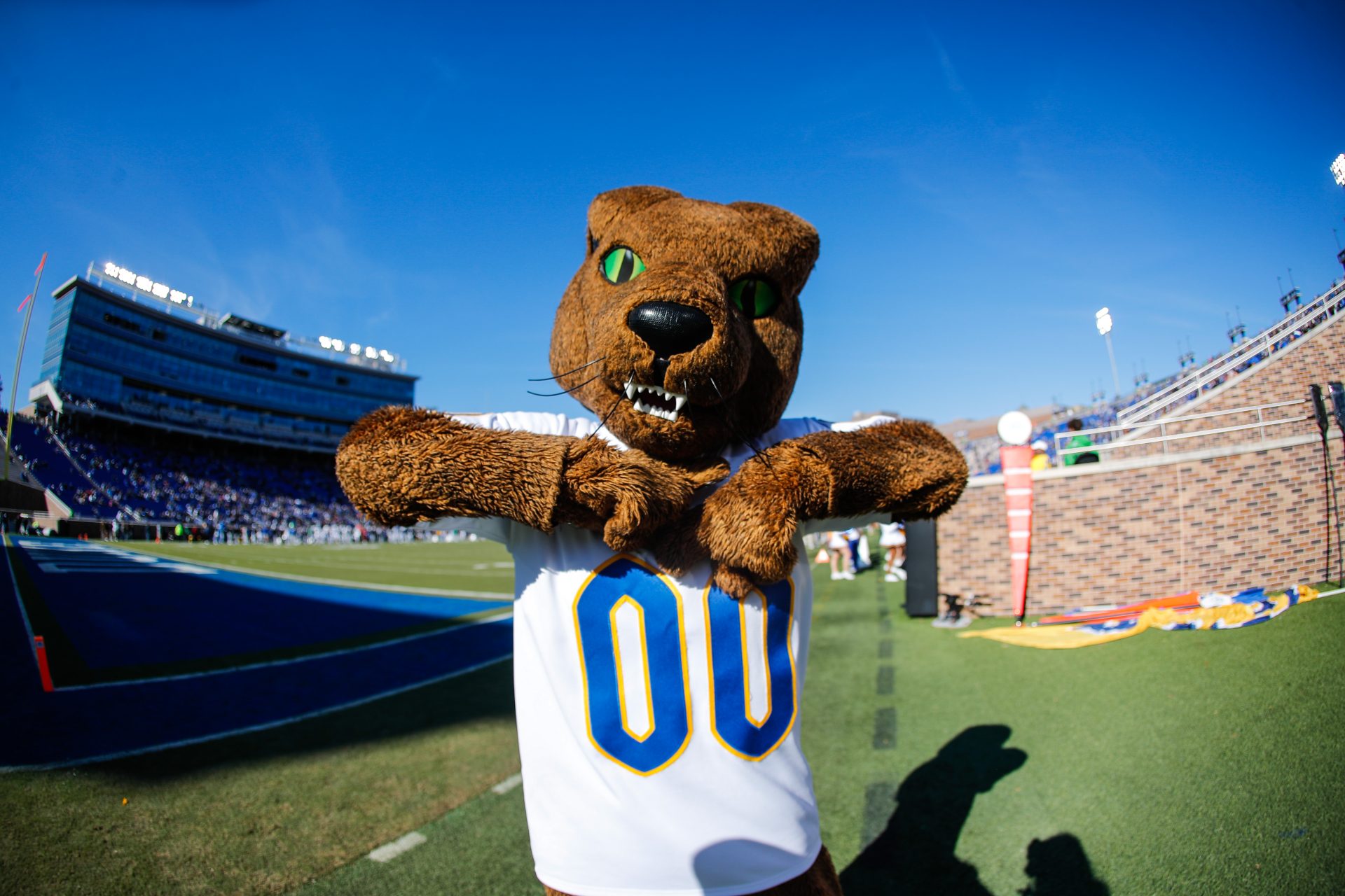 North Carolina, USA; Pittsburgh Panthers mascot during the first half of the game against Duke Blue Devils at Wallace Wade Stadium.