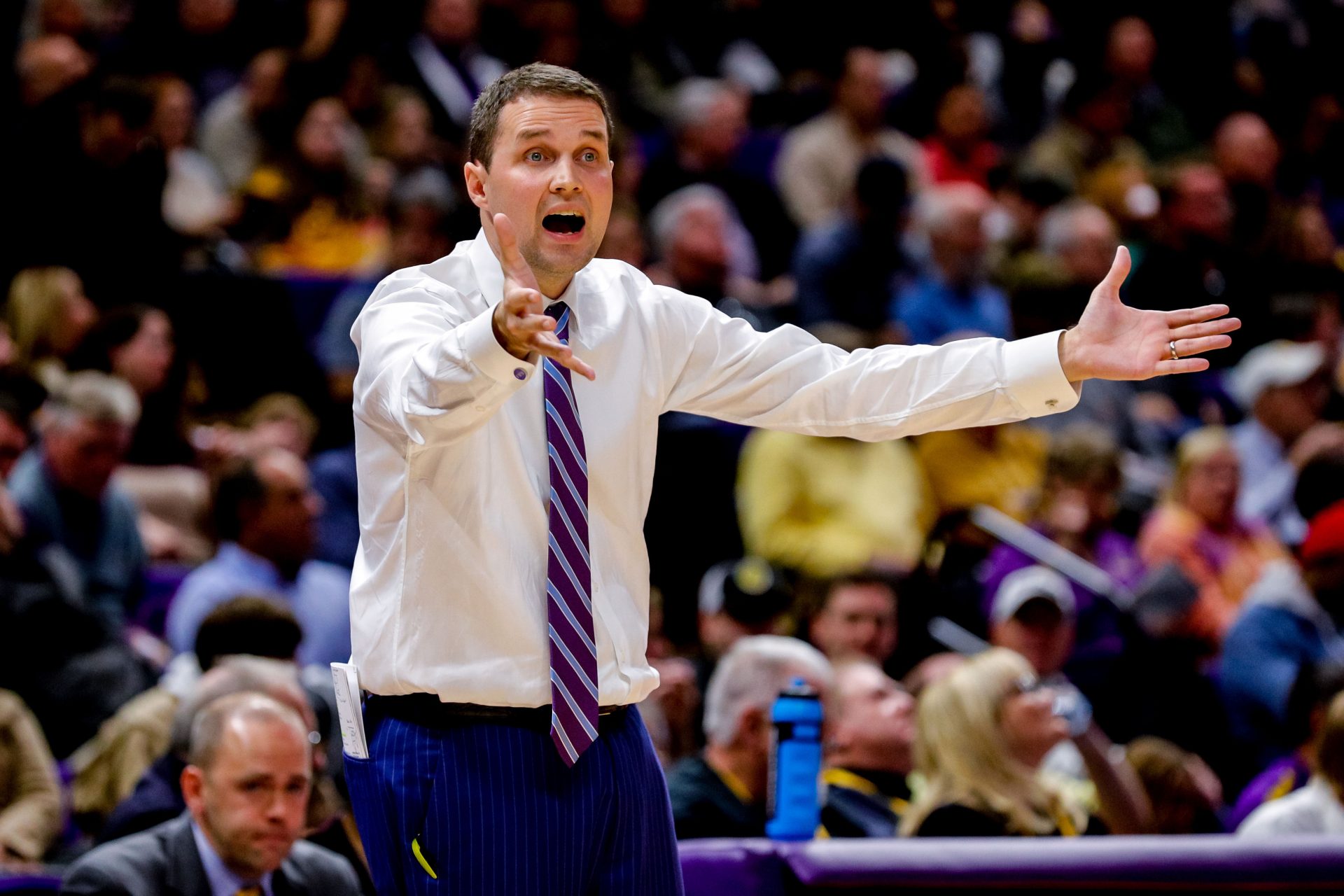 LSU Tigers head coach Will Wade reacts to play in the first half against Memphis Tigers at Maravich Assembly Center.