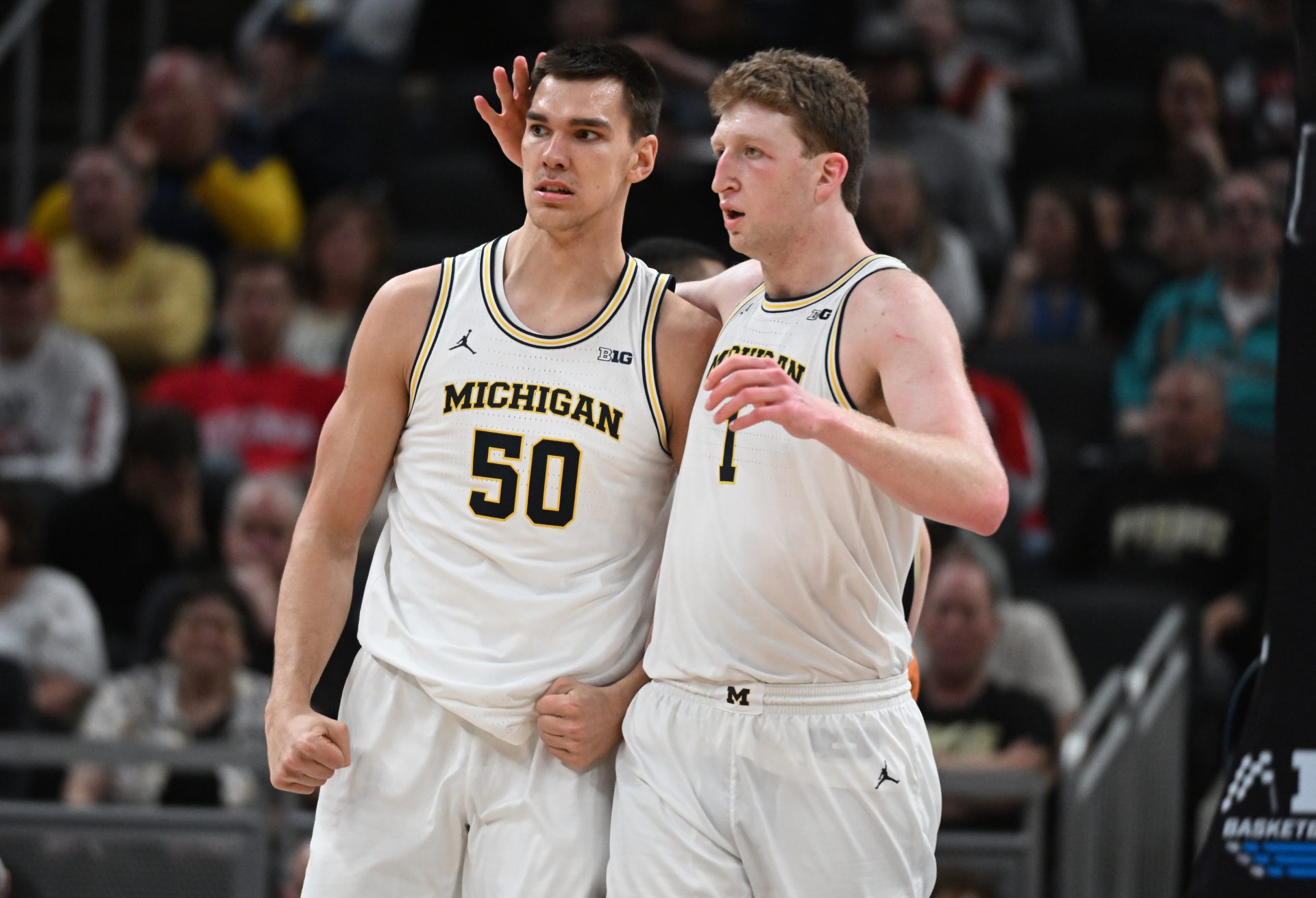Michigan Wolverines center Vladislav Goldin (50) and center Danny Wolf (1) celebrate after a play during the second half against the Purdue Boilermakers at Gainbridge Fieldhouse.