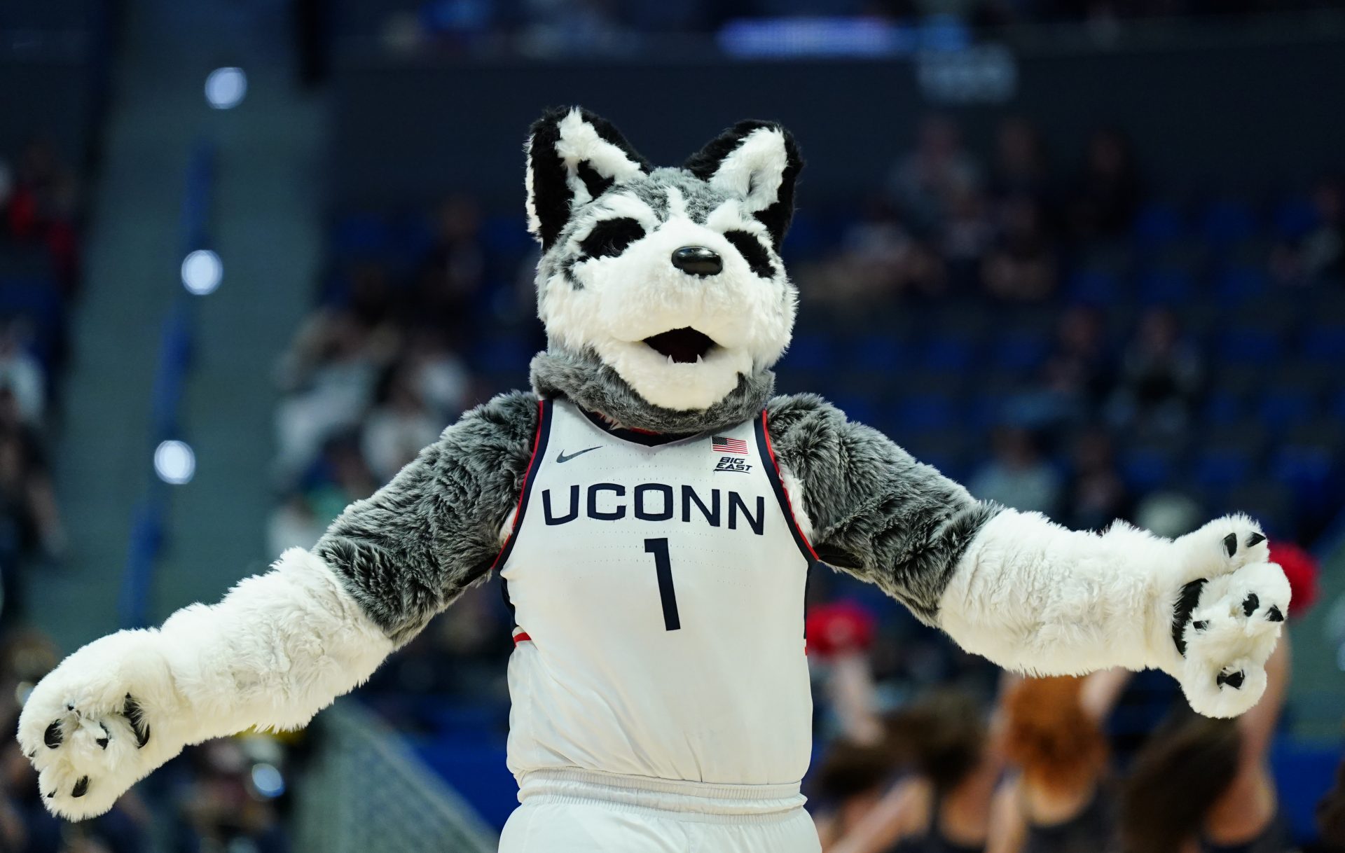 UConn Huskies mascot on the court during a break in the action against the Stonehill Skyhawks in the second half at XL Center.