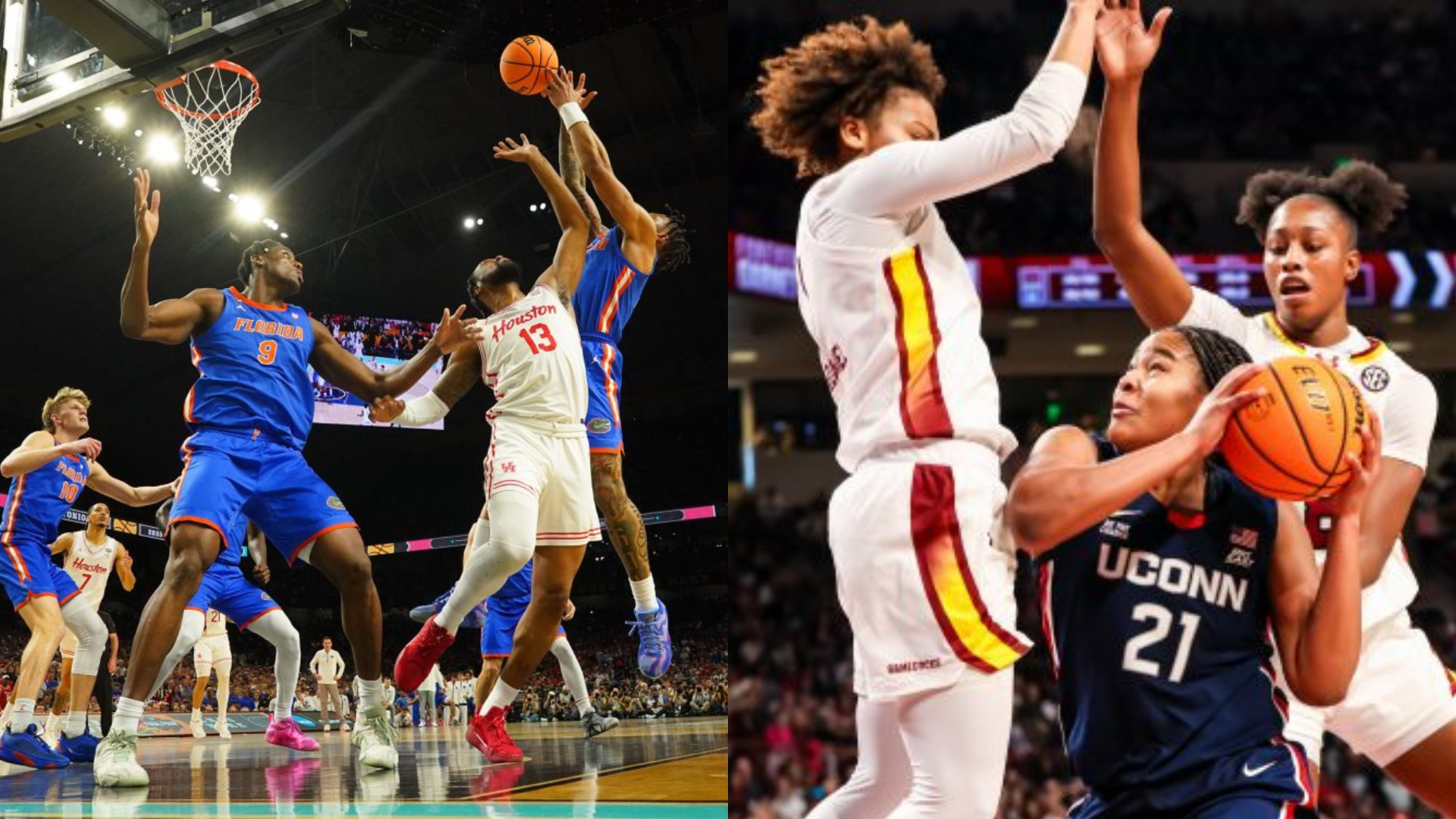 NCAA men's and women's basketball. - Source: Imagn