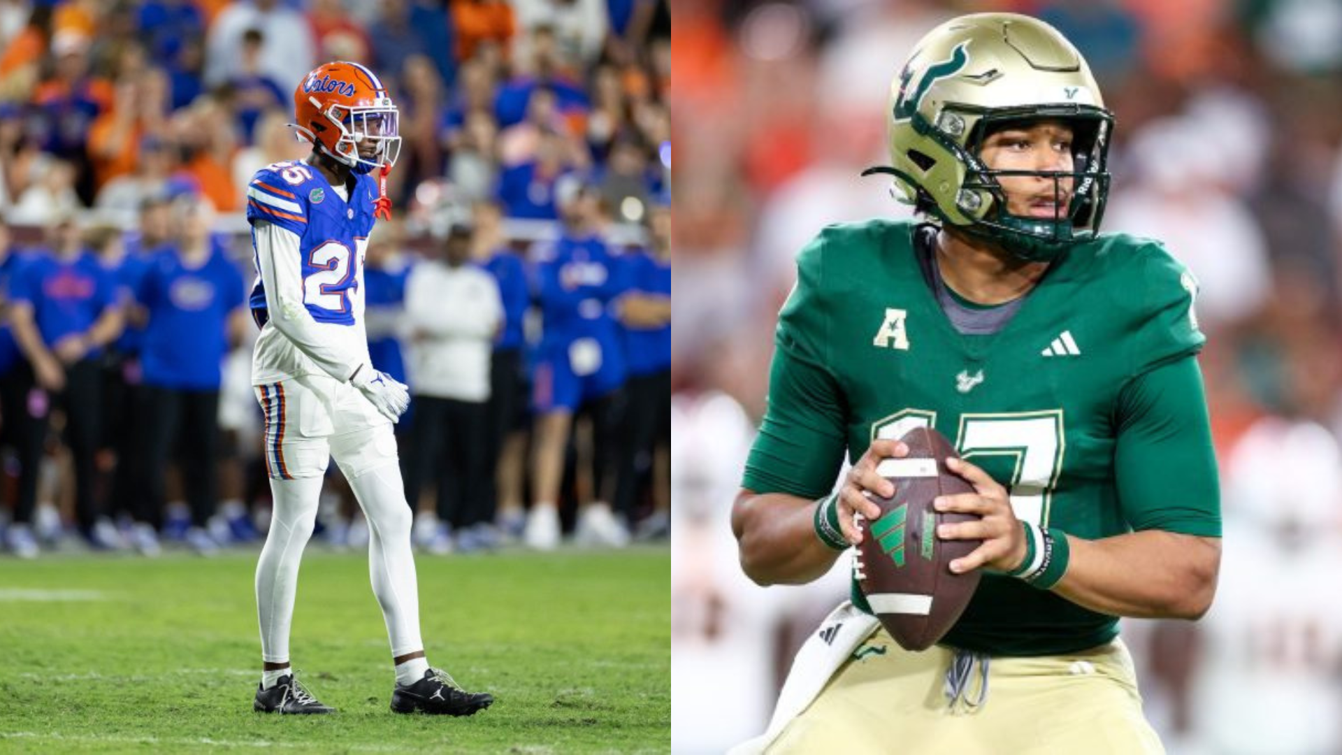 Florida Gators and South Florida Bulls. - Source: Imagn
