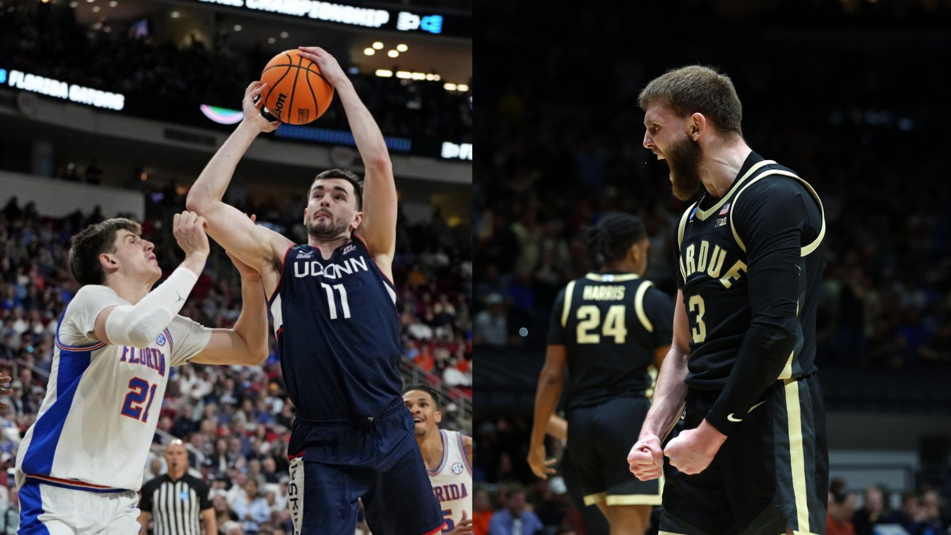 Purdue Boilermakers, Florida Gators and UConn Huskies. - Source: Imagn