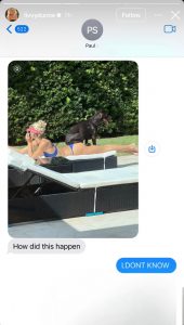 (image credits: @livvydunne on Instagram)