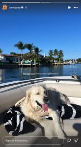 (image credits: @livvydunne on Instagram)