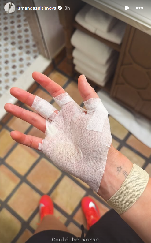 Screenshot from Amanda Anisimova's Instagram story