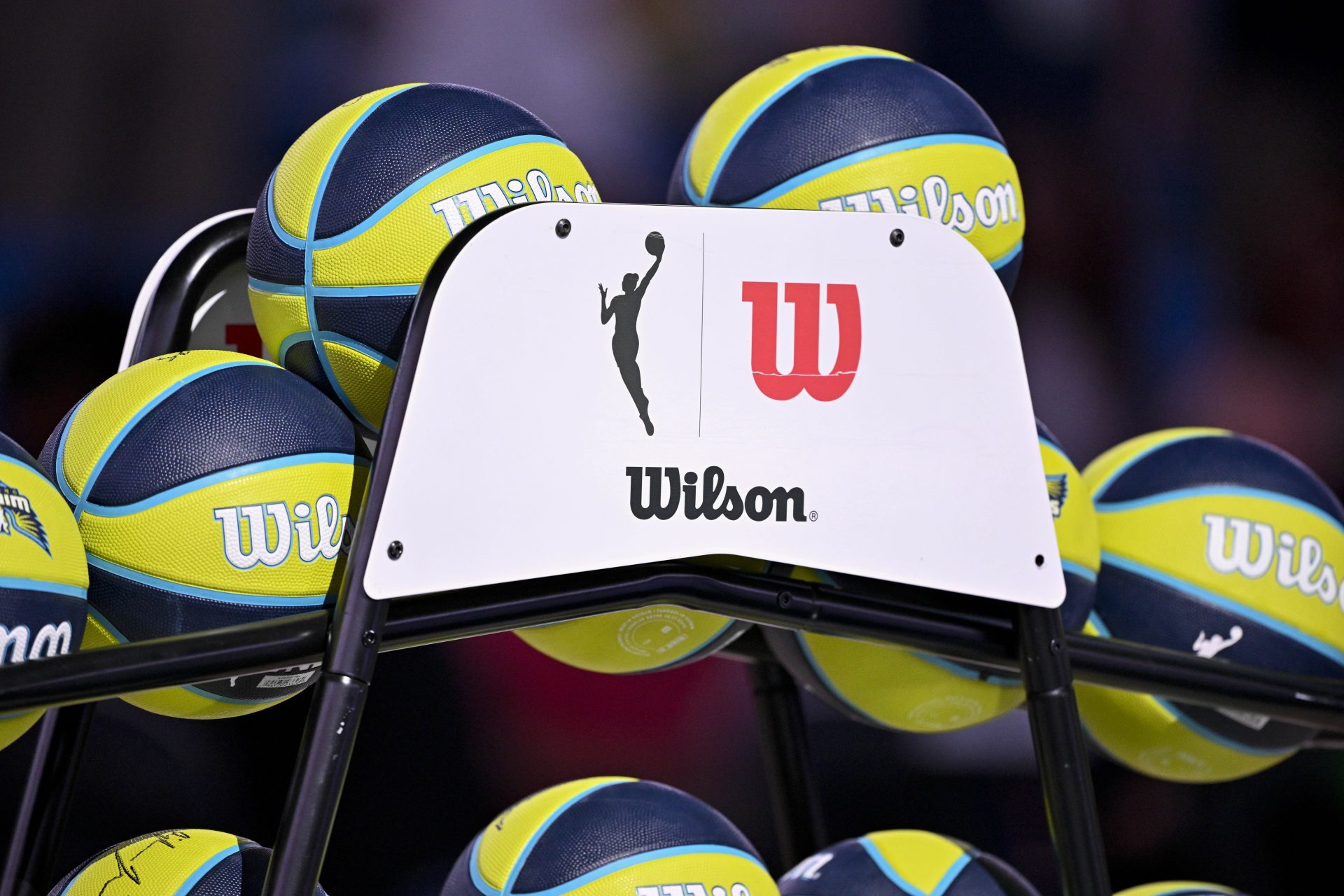 A view of the Wilson logo and WNBA logo.
Source: Imagn Images