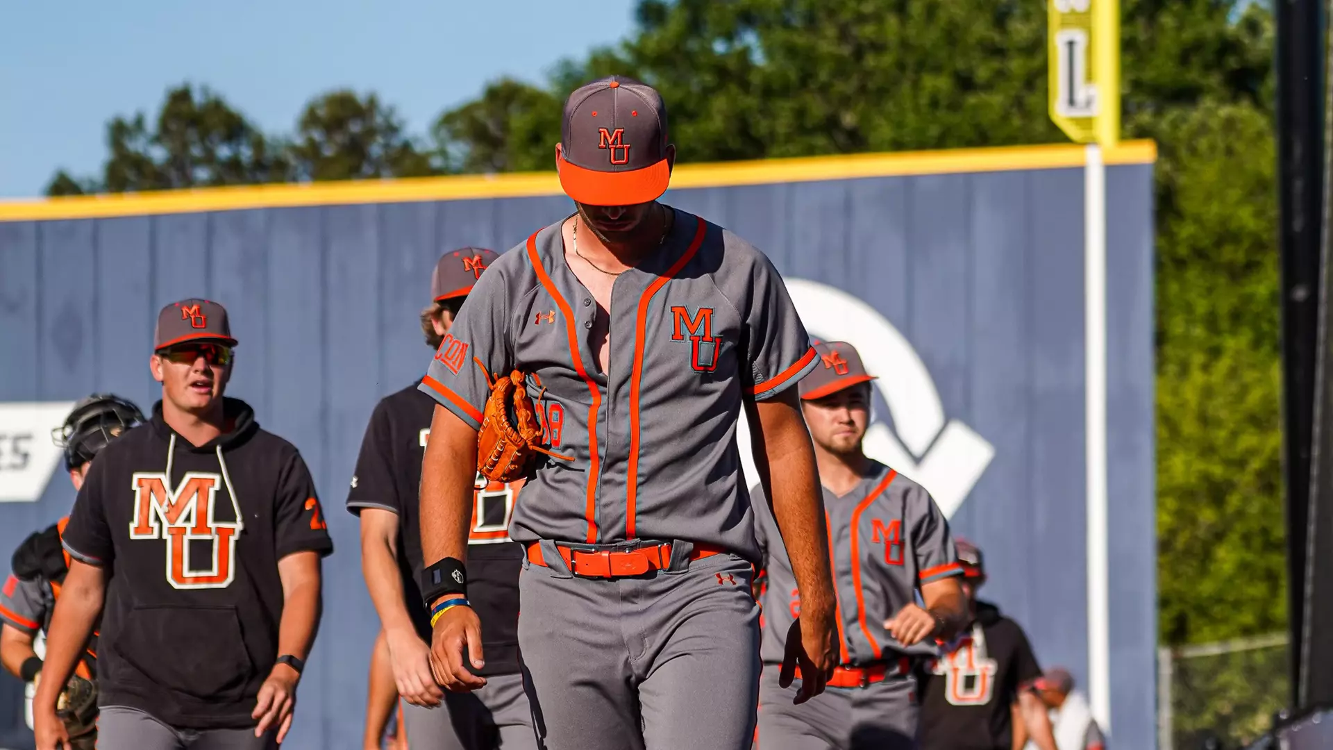 Mercer Bears Baseball | Source: Mercerbears.com