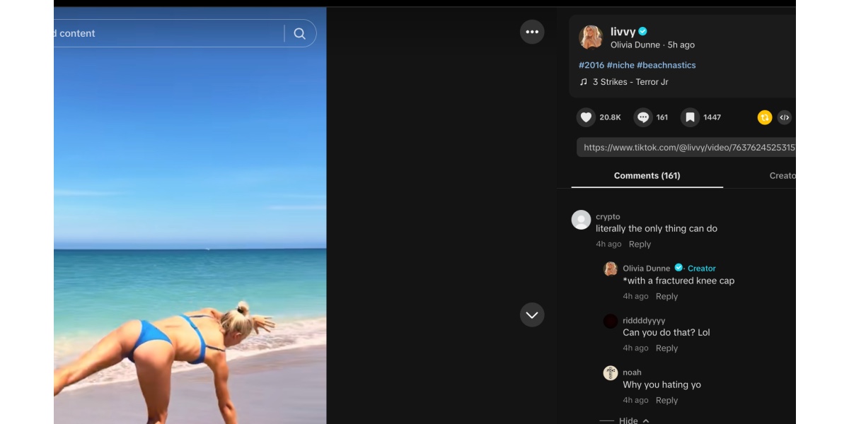 Dunne slams troll on TikTok - (Image via TikTok/ @livvy)