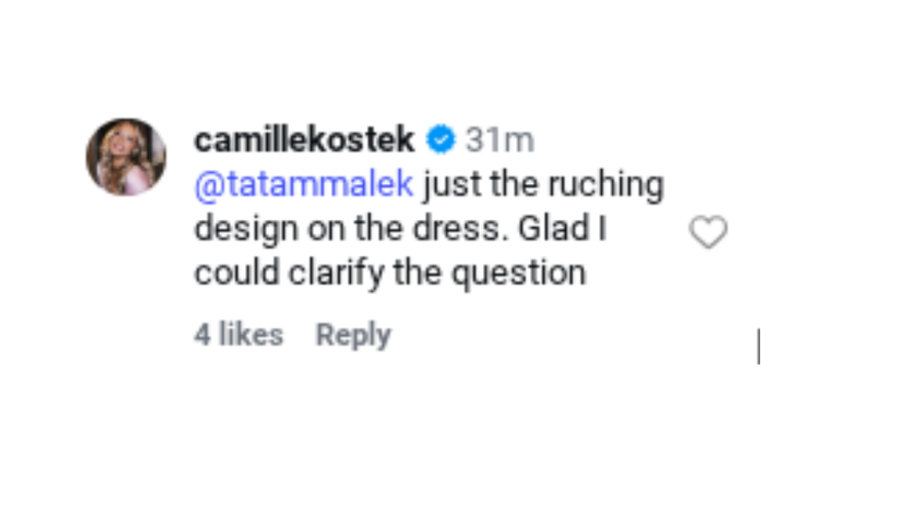 Source: Image via Instagram/@CamilleKostek