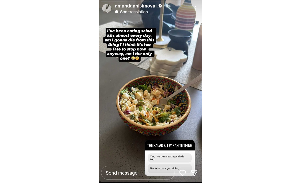 Anisimova's story of her diet - Image via Instagram (@amandaanisimova)